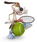 © karelin721 / Fotolia